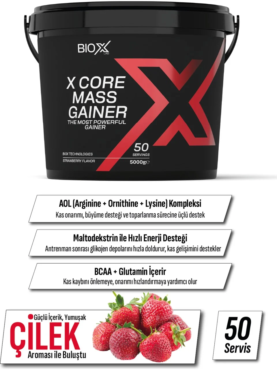 BIOXLAB X-CORE MASS GAINER ÇILEK AROMALI 5000 GR 50 SERVIS KARBONHIDRAT TOZU - GAINER - HACIM